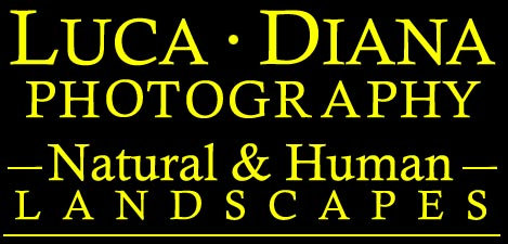 LD Photo Logo